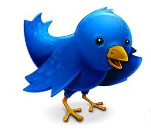 Twitter bird logo